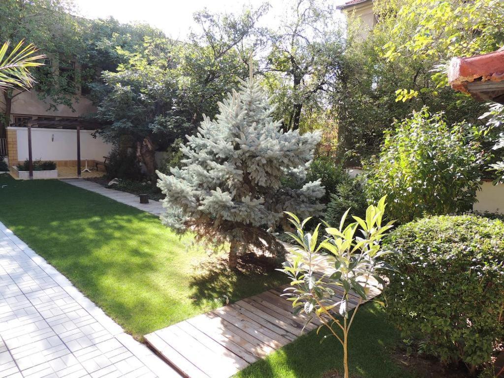 Fantasy Apartaments And Studios Avenue Комплекс Фантазия Хисаря Zewnętrze zdjęcie